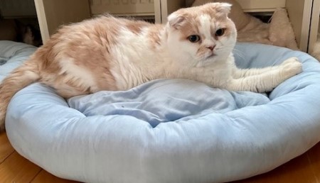 thumbnail_IMG_8411 (2)