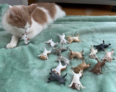 thumbnail_IMG_5828 (1)