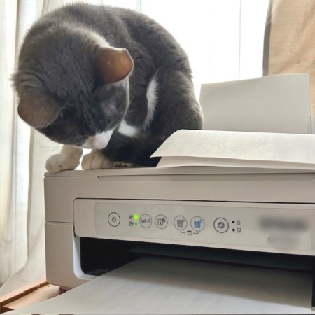 thumbnail_IMG_0360_1