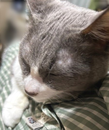 thumbnail_IMG_7095 (2)