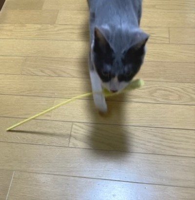 340