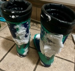 cca6a07e-c61f-4f97-a19f-d0022ada585c