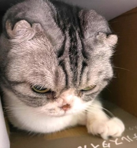 thumbnail_IMG_7175