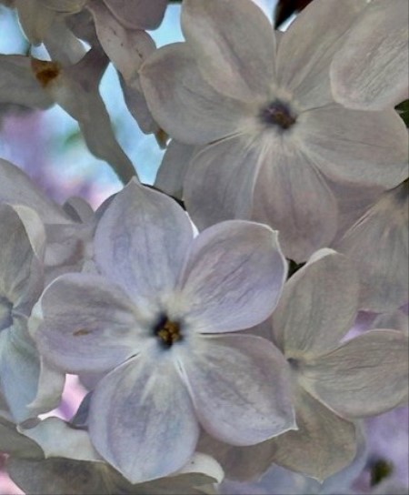 thumbnail_IMG_6827 (3)