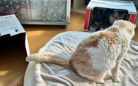 thumbnail_IMG_2450 (2)