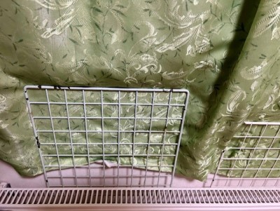 thumbnail_IMG_4625 (1)