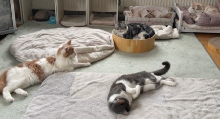 1c722c8b-9b27-44b8-be97-0a59c2af01af