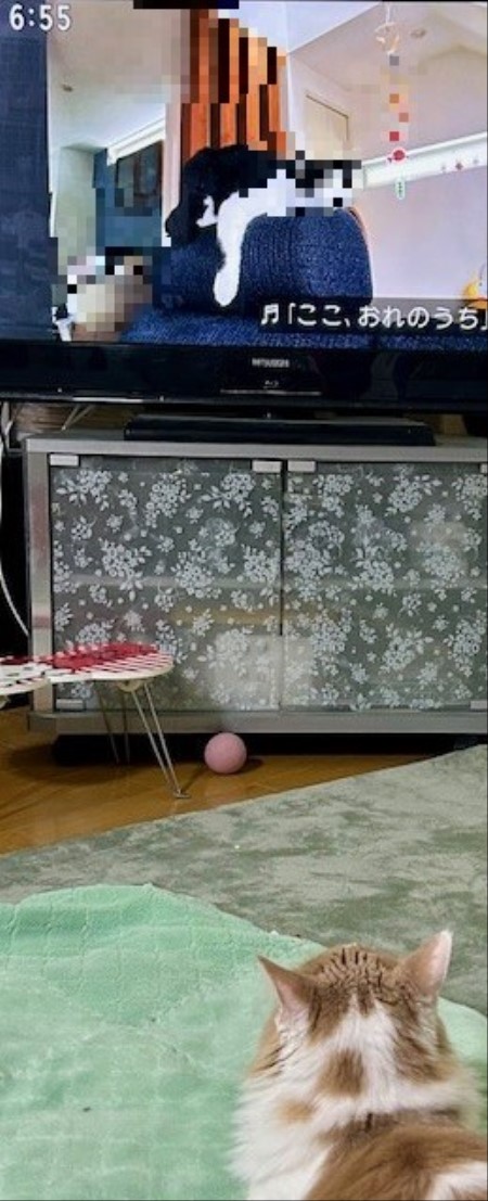 thumbnail_IMG_4924 (2)