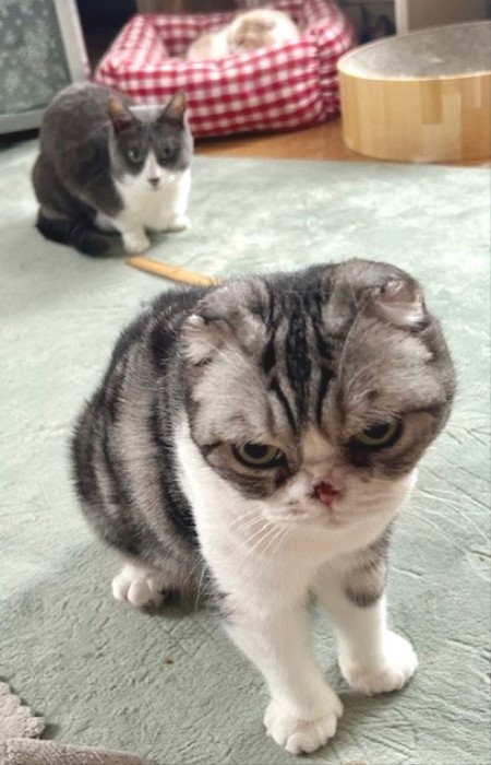 thumbnail_IMG_6693 (1)