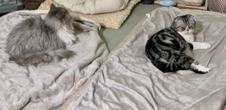 thumbnail_IMG_4304 (1)