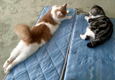 thumbnail_IMG_8403 (1)