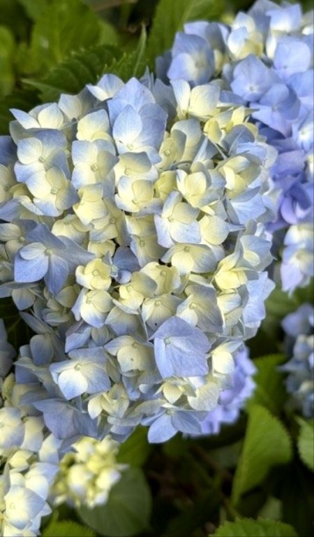 20c6675b-c531-4bbd-8d12-b683c7d8483f