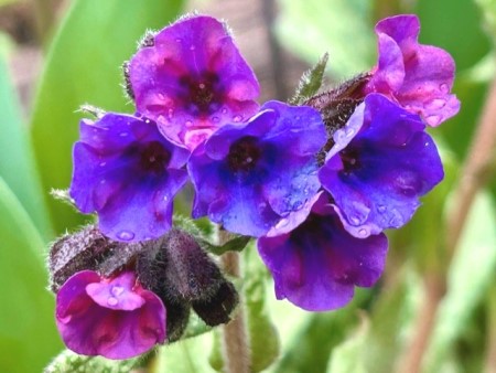 thumbnail_IMG_5509 (1)