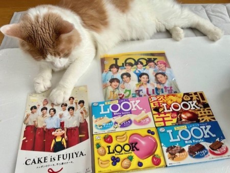 thumbnail_IMG_2172 (1)