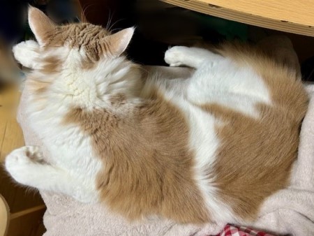 833ca963-815a-4cfd-9de4-ab796b9091f7