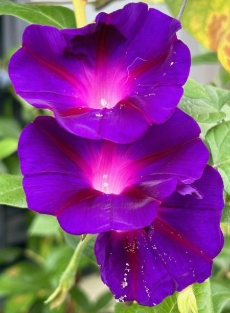 thumbnail_IMG_4182 (1)