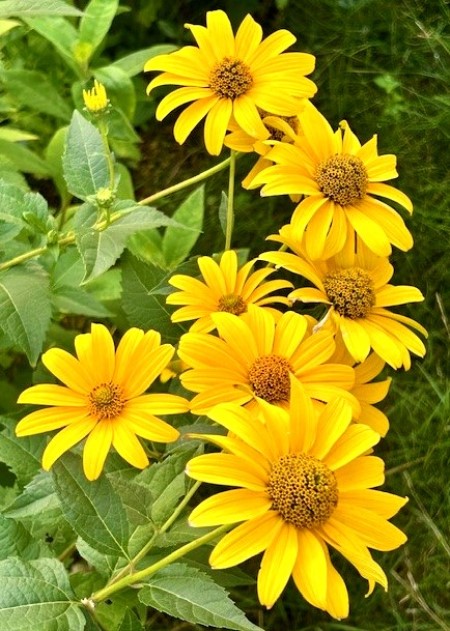 thumbnail_IMG_0649