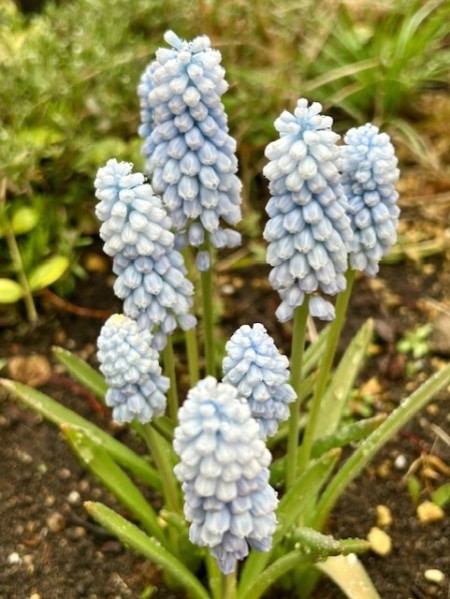 thumbnail_IMG_5266 (1)