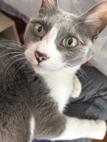 thumbnail_IMG_1191 (1)