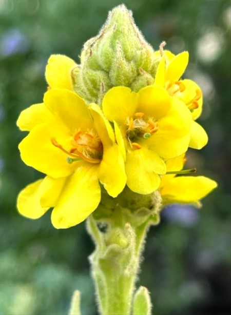 thumbnail_IMG_5322