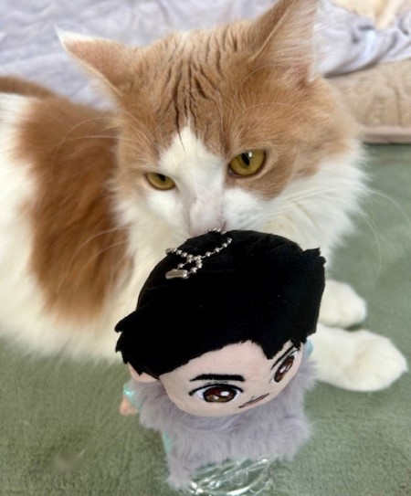 0961ea74-0966-44dd-935f-41c0a28812a7