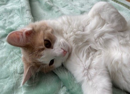 thumbnail_IMG_5590 (1)