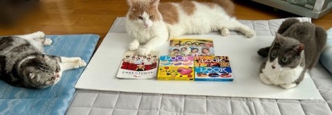 thumbnail_IMG_2175 (1)