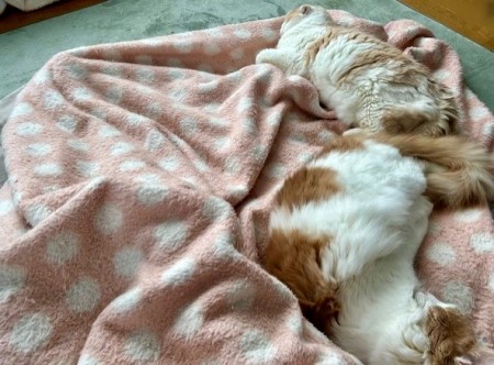 5d3477ca-07e7-4d7e-8507-7ba649486d22