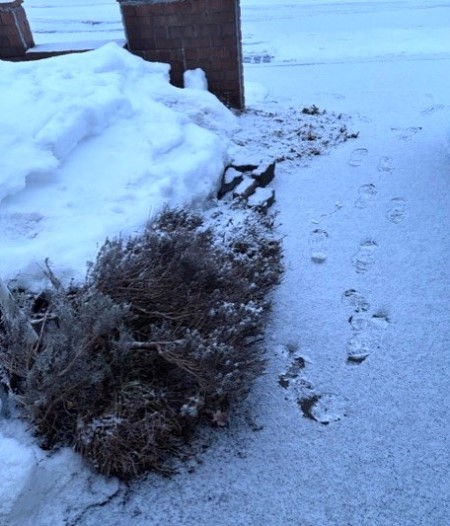 208da621-1c62-4c63-a815-7c90e2113c48