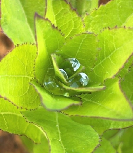 thumbnail_IMG_0075 (1)