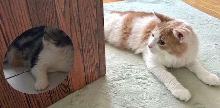 thumbnail_IMG_8378 (3)