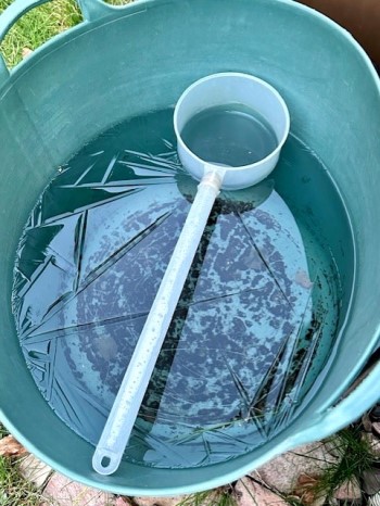 thumbnail_IMG_8386 (1)