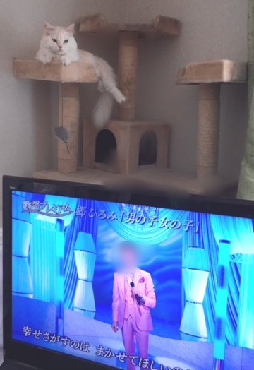 歌謡プレミアム_1