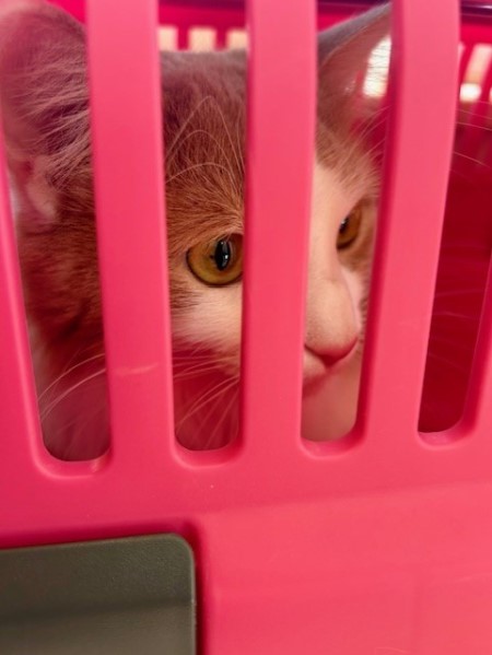 thumbnail_IMG_5711 (1)