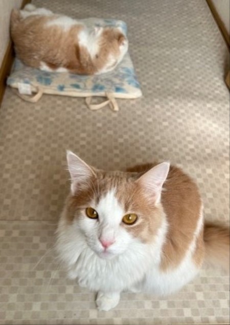 thumbnail_IMG_1905 (1)