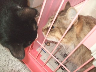 2008_02020052