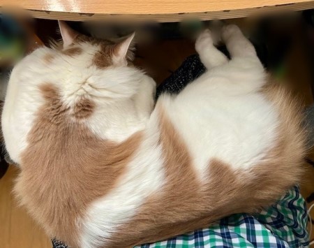 thumbnail_IMG_2879 (1)