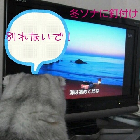 58c5cb4e