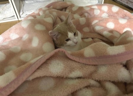 thumbnail_IMG_5485 (1)