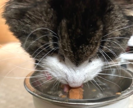 thumbnail_IMG_5110 (1)