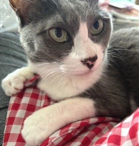 thumbnail_IMG_1215 (1)