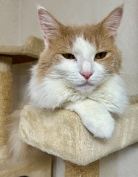 9b3c04cd-482e-483b-8ddd-e4e1d42ea2e7