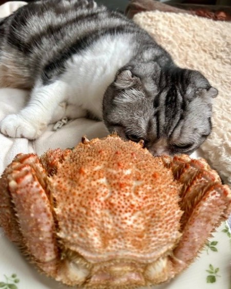 thumbnail_IMG_3385 (1)