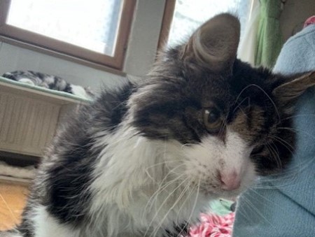 thumbnail_IMG_7921 (1)