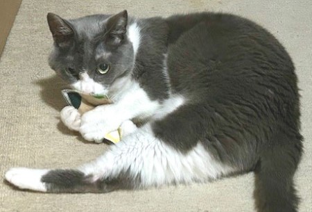 thumbnail_IMG_5244 (1)