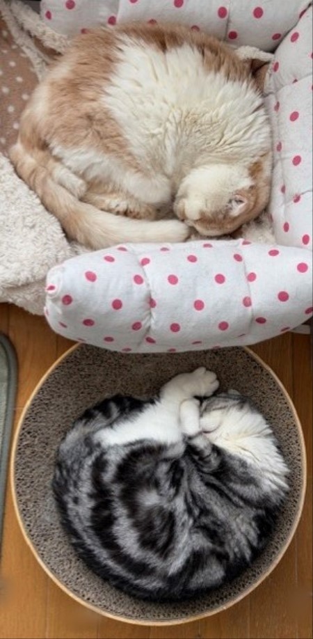 f4b42927-5835-4bcb-89f4-32f4951f30a6