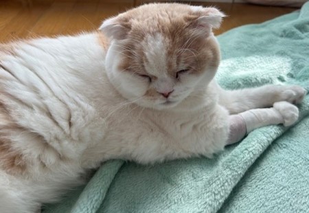 thumbnail_IMG_4240 (1)_1