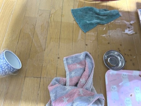 thumbnail_IMG_5982 (1)