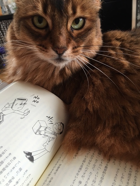 {39E4D17F-4C5C-4213-94A2-A02310338EF0}