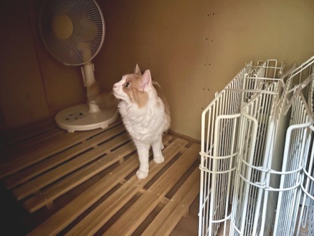 thumbnail_IMG_8493 (2)